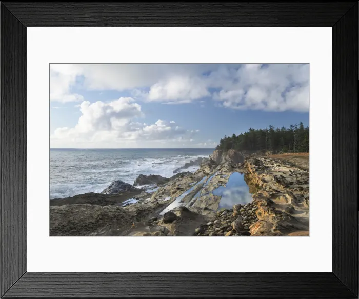 Framed Print : Shore Acres State Park, Oregon Framed Print : Shore Acres State Park, Oregon