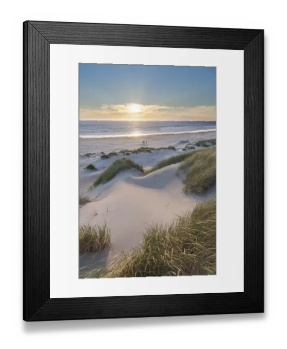 Framed Print : Dunes and dune grass at sunset. Nehalem State Park, Oregon Framed Print : Dunes and dune grass at sunset. Nehalem State Park, Oregon