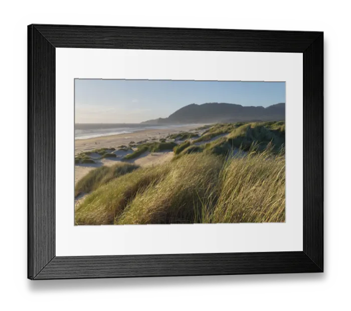 Framed Print : Dunes and dune grass at Nehalem State Park, Oregon