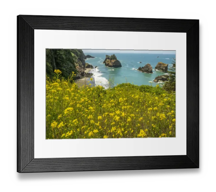 Framed Print : USA, Oregon. Arch Rock Lookout on Pacific Ocean shoreline Framed Print : USA, Oregon. Arch Rock Lookout on Pacific Ocean shoreline