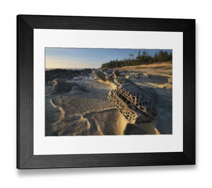 Framed Print : Eroded sandstone concretions and formations at Shore Acres State Park, Oregon Framed Print : Eroded sandstone concretions and formations at Shore Acres State Park, Oregon