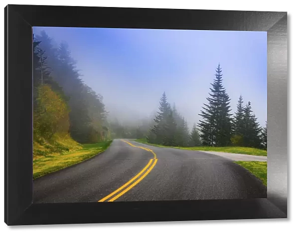 Roadway, Blue Ridge Parkway, Smoky Mountains, USA