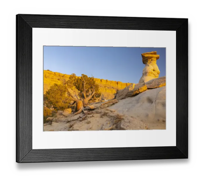 Framed Print : USA, New Mexico, Ojito Wilderness. Eroded desert rocks Framed Print : USA, New Mexico, Ojito Wilderness. Eroded desert rocks