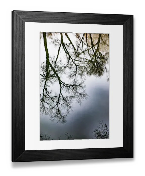 Framed Print : Sunrise Springs, Santa Fe, New Mexico, USA. Tree and water reflection Framed Print : Sunrise Springs, Santa Fe, New Mexico, USA. Tree and water reflection