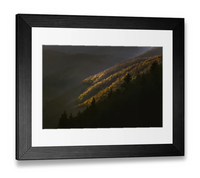 Framed Print : First light in the morning on early spring trees, Oconaluftee Valley, Great Smoky Mountains National Park, North Carolina Framed Print : First light in the morning on early spring trees, Oconaluftee Valley, Great Smoky Mountains National Park, North Carolina