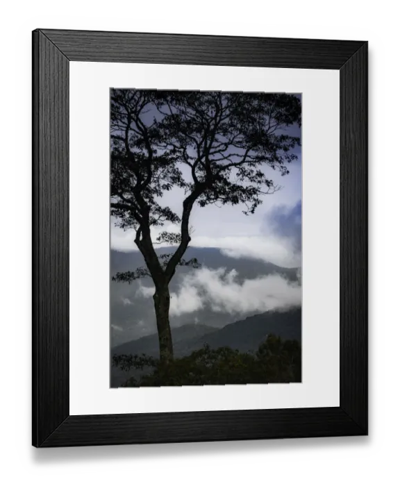 Framed Print : Stylized vista, Blue Ridge Parkway, Smoky Mountains, USA