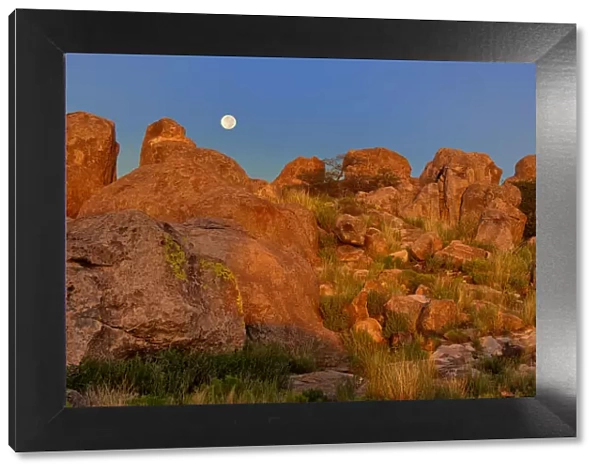 USA, New Mexico, City of Rocks State Park. Full moon sets over granite boulders lit by sunrise