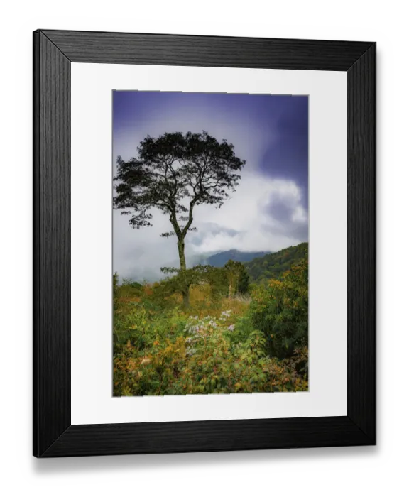 Framed Print : Blue Ridge Parkway, Smoky Mountains, USA
