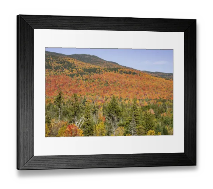 Framed Print : USA, New Hampshire, fall foliage Framed Print : USA, New Hampshire, fall foliage