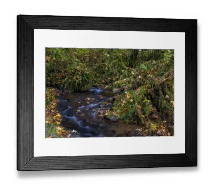 Framed Print : Munson Creek Falls State Natural Site in autumn near Tillamook, Oregon, USA Framed Print : Munson Creek Falls State Natural Site in autumn near Tillamook, Oregon, USA