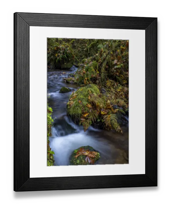 Framed Print : Munson Creek Falls State Natural Site in autumn near Tillamook, Oregon, USA Framed Print : Munson Creek Falls State Natural Site in autumn near Tillamook, Oregon, USA