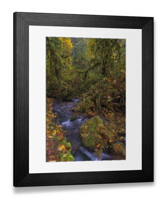 Framed Print : Munson Creek Falls State Natural Site in autumn near Tillamook, Oregon, USA Framed Print : Munson Creek Falls State Natural Site in autumn near Tillamook, Oregon, USA