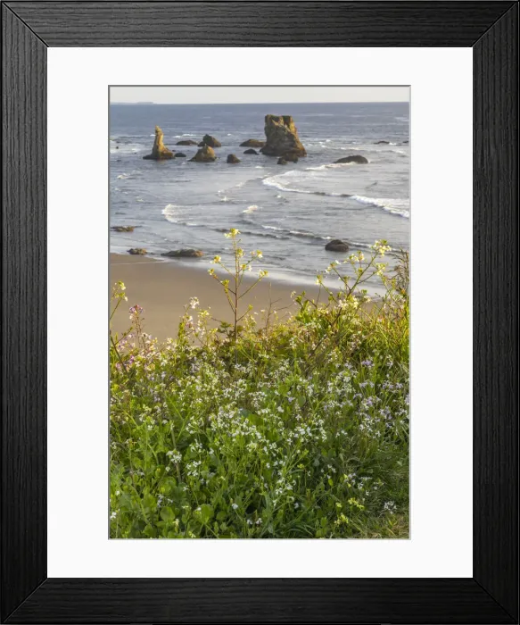 Framed Print : USA, Oregon, Bandon Beach. Sea stack on ocean shore and blooming flowers