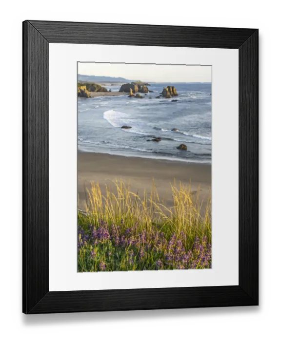 Framed Print : USA, Oregon, Bandon Beach. Sea stack on ocean shore and blooming flowers Framed Print : USA, Oregon, Bandon Beach. Sea stack on ocean shore and blooming flowers