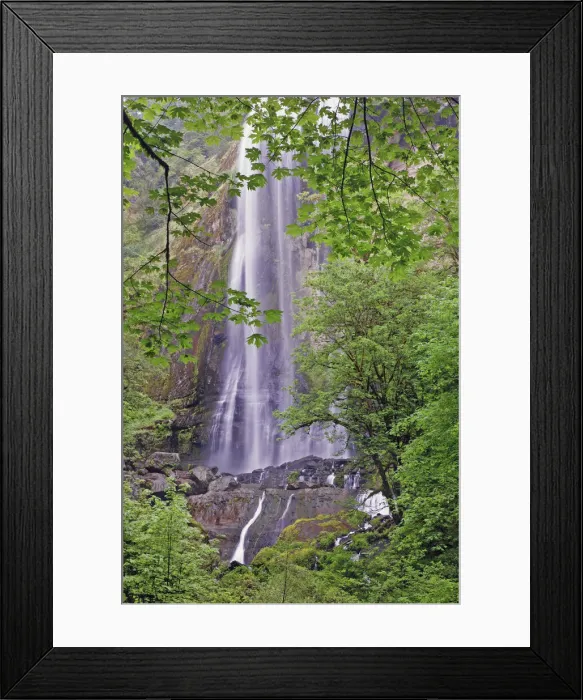 Framed Print : Silver Falls, Golden and Silver Falls State Natural Area, Oregon