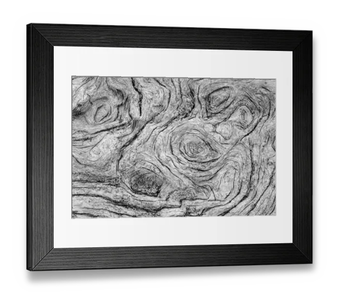 Framed Print : Geometric pattern in eroded driftwood, Bandon Beach, Oregon