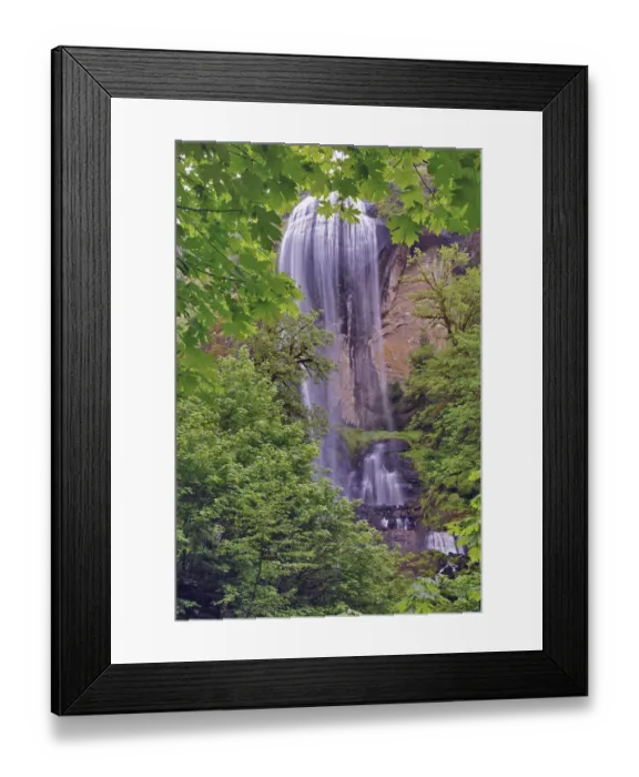 Framed Print : Silver Falls, Golden and Silver Falls State Natural Area, Oregon Framed Print : Silver Falls, Golden and Silver Falls State Natural Area, Oregon