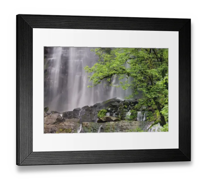 Framed Print : Silver Falls, Golden and Silver Falls State Natural Area, Oregon Framed Print : Silver Falls, Golden and Silver Falls State Natural Area, Oregon