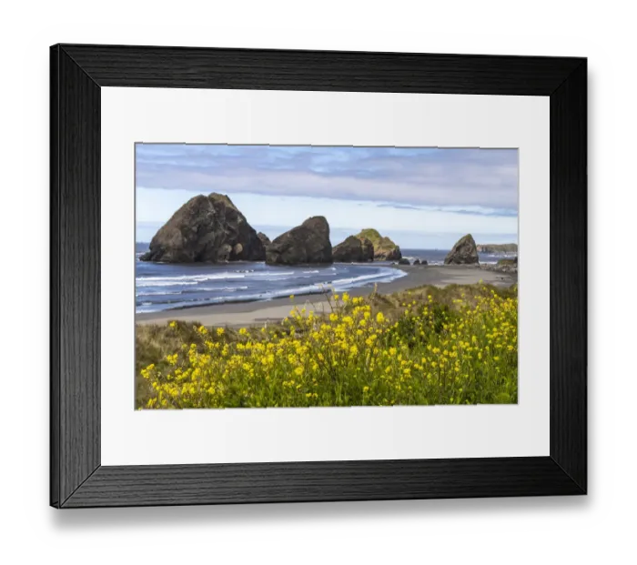 Framed Print : USA, Oregon. Pistol River Beach and sea stacks
