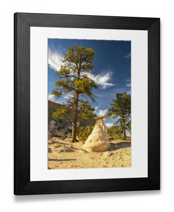 Framed Print : USA, New Mexico, Ojito Wilderness. Rock eroded into toadstool formation Framed Print : USA, New Mexico, Ojito Wilderness. Rock eroded into toadstool formation
