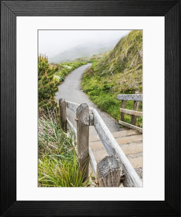 Framed Print : Bandon, Oregon, USA. A paved walking path on the Oregon coast Framed Print : Bandon, Oregon, USA. A paved walking path on the Oregon coast