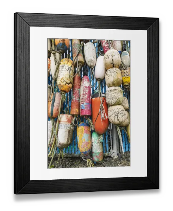 Framed Print : Coos Bay, Oregon, USA. Colorful crab trap floats on the Oregon coast Framed Print : Coos Bay, Oregon, USA. Colorful crab trap floats on the Oregon coast