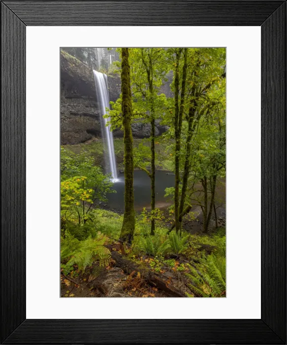 Framed Print : South Falls at Silver Falls State Park near Sublimity, Oregon, USA