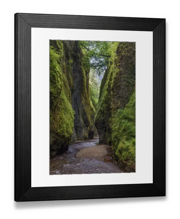 Framed Print : View from bottom of Oneonta Gorge, Columbia River Gorge National Scenic Area, Oregon Framed Print : View from bottom of Oneonta Gorge, Columbia River Gorge National Scenic Area, Oregon