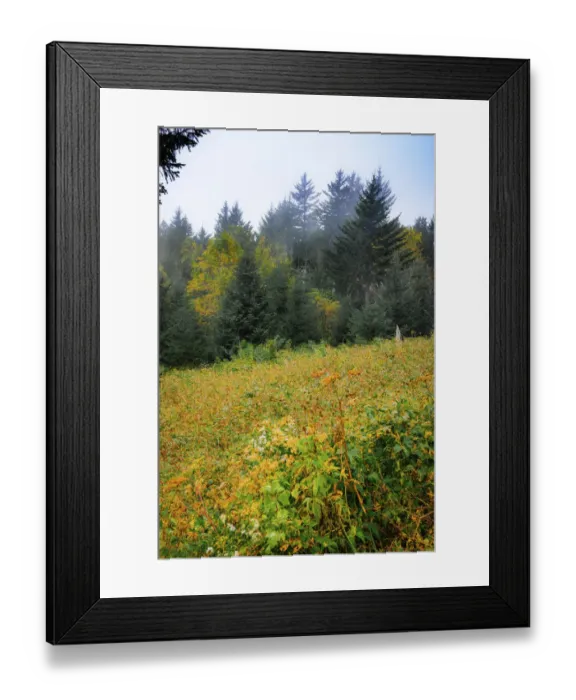 Framed Print : Meadow, Blue Ridge Parkway, Smoky Mountains, USA