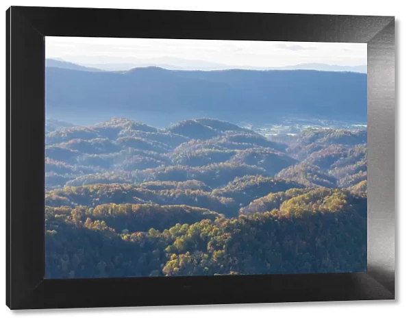 USA, Tennessee. Aerial of fall color foothills, Blue Ridge Mountains