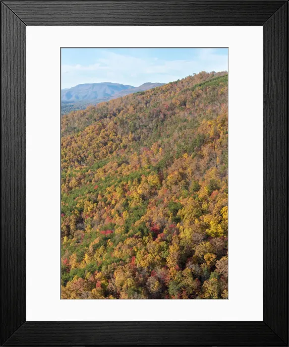 Framed Print : USA, Tennessee. Deciduous fall color and evergreens, Appalachian Mountains Framed Print : USA, Tennessee. Deciduous fall color and evergreens, Appalachian Mountains