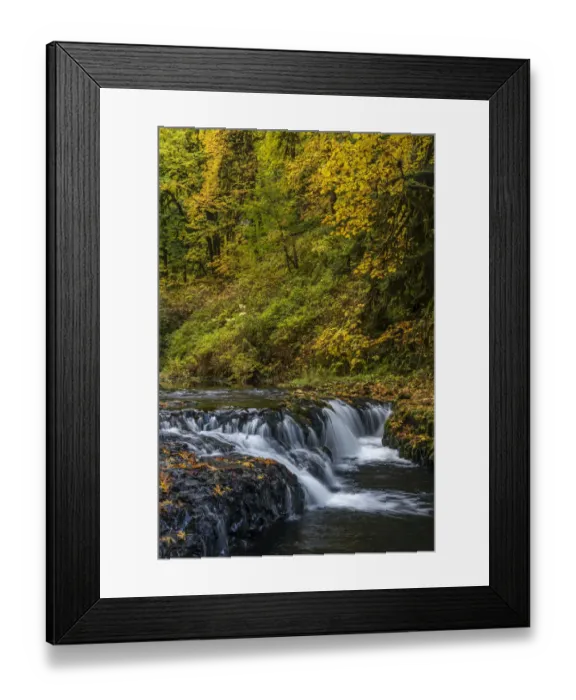 Framed Print : USA, Oregon, Silver Falls State Park. Waterfalls and forest in autumn Framed Print : USA, Oregon, Silver Falls State Park. Waterfalls and forest in autumn