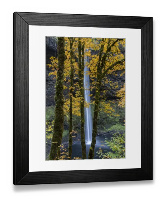 Framed Print : USA, Oregon, Silver Falls State Park. Tall waterfall and forest in autumn