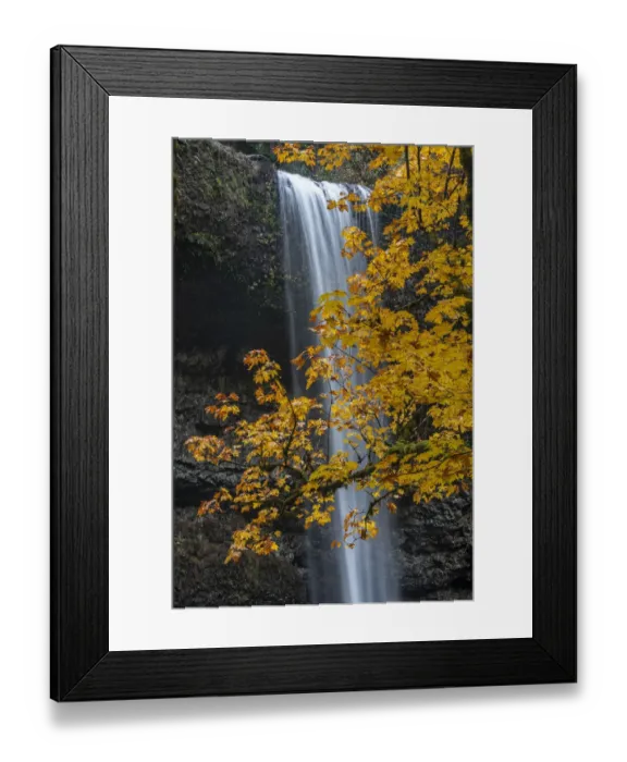 Framed Print : USA, Oregon, Silver Falls State Park. Tall waterfall and forest in autumn Framed Print : USA, Oregon, Silver Falls State Park. Tall waterfall and forest in autumn