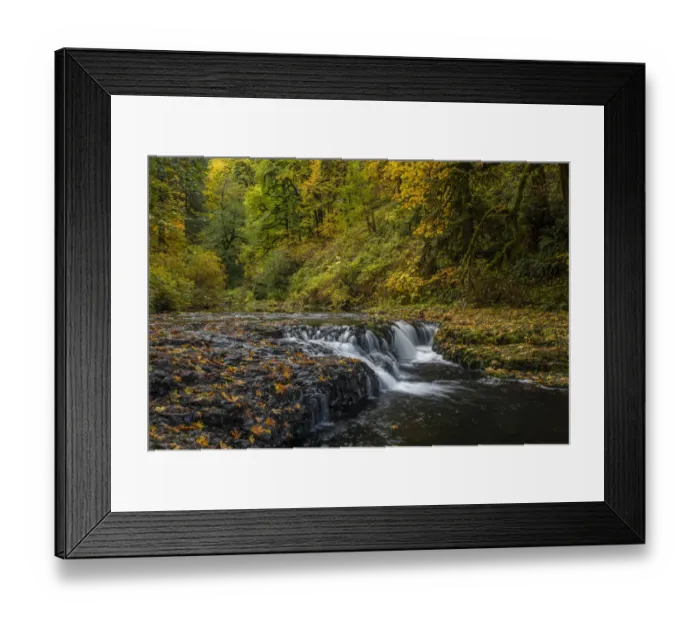 Framed Print : USA, Oregon, Silver Falls State Park. Waterfalls and forest in autumn Framed Print : USA, Oregon, Silver Falls State Park. Waterfalls and forest in autumn