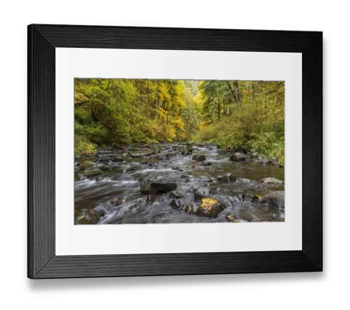 Framed Print : USA, Oregon, Silver Falls State Park. River rapids and forest in autumn Framed Print : USA, Oregon, Silver Falls State Park. River rapids and forest in autumn