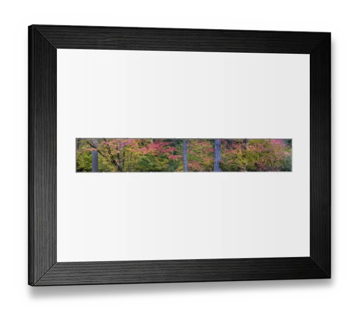 Framed Print : USA, Oregon, Silver Falls State Park. Autumn forest panoramic Framed Print : USA, Oregon, Silver Falls State Park. Autumn forest panoramic