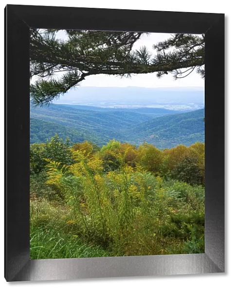 Vista, Shenandoah, Blue Ridge Parkway, Smoky Mountains, USA