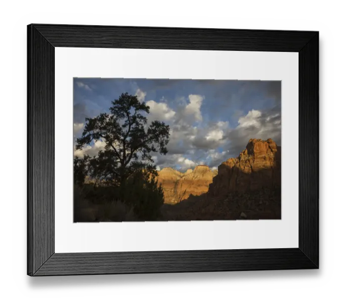 Framed Print : Morning light, Zion National Park