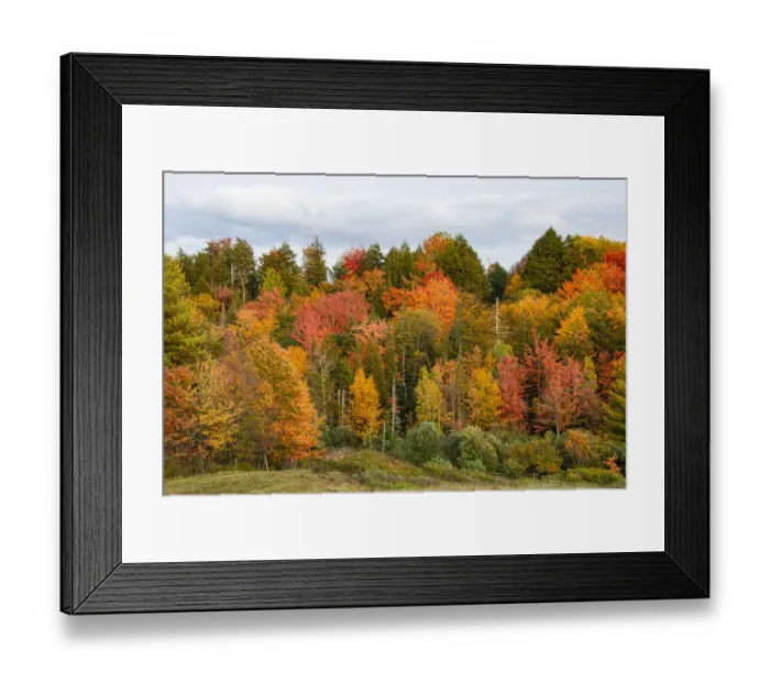 Framed Print : USA, Vermont, Morrisville, Stagecoach Road, fall foliage