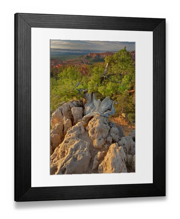 Framed Print : USA, Utah, Bryce Canyon National Park. Sunrise on canyon landscape Framed Print : USA, Utah, Bryce Canyon National Park. Sunrise on canyon landscape