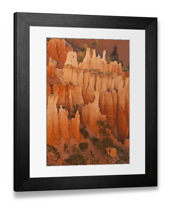 Framed Print : USA, Utah, Bryce Canyon National Park. Sunrise on sandstone hoodoo formations Framed Print : USA, Utah, Bryce Canyon National Park. Sunrise on sandstone hoodoo formations