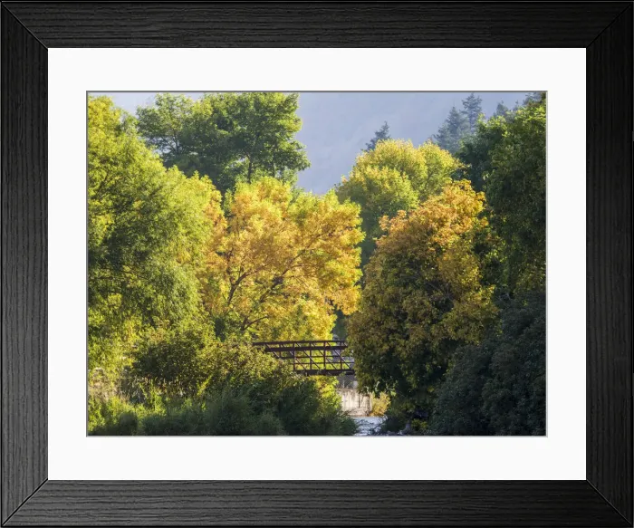 Framed Print : USA, Utah. Trail bridge across the Logan River along Logan Canyon in autumn Framed Print : USA, Utah. Trail bridge across the Logan River along Logan Canyon in autumn