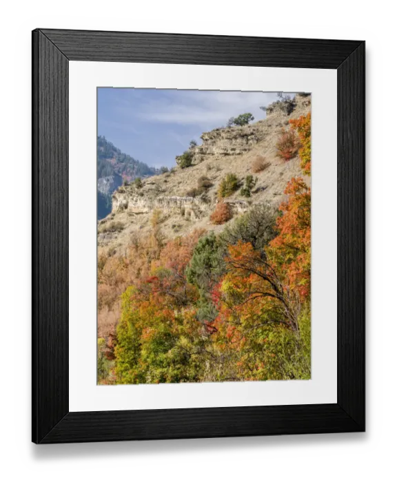 Framed Print : USA, Utah. Fall color with aspens along Logan Canyon