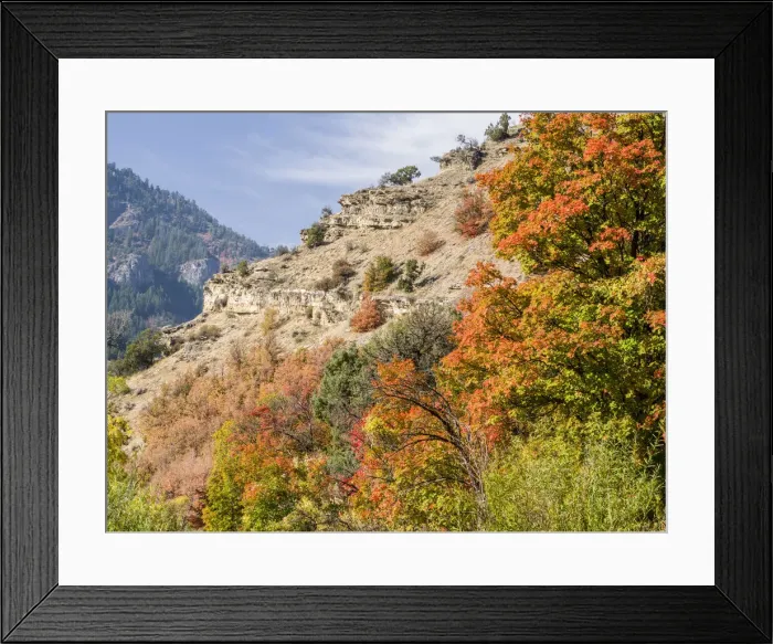 Framed Print : USA, Utah. Fall color with aspens along Logan Canyon