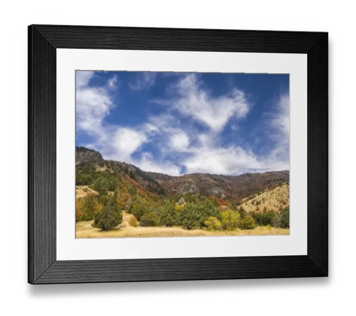 Framed Print : USA, Utah. Fall color with aspens along Logan Canyon