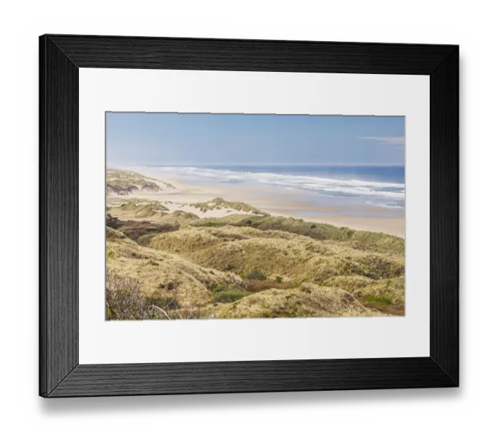 Framed Print : Baker Beach, Oregon, USA. Grassy dunes and a sandy beach on the Oregon coast Framed Print : Baker Beach, Oregon, USA. Grassy dunes and a sandy beach on the Oregon coast