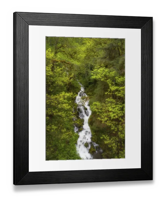 Framed Print : Lookout Creek North Cascades. Mount Baker Snoqualmie National Forest, Washington State Framed Print : Lookout Creek North Cascades. Mount Baker Snoqualmie National Forest, Washington State
