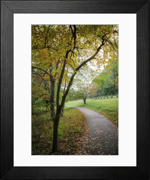 Framed Print : Path around the lake, Peaks Of Otter, Blue Ridge Parkway, Smoky Mountains, USA