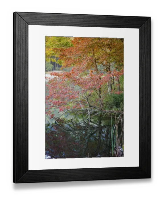 Framed Print : Lake reflections, Peaks Of Otter, Blue Ridge Parkway, Smoky Mountains, USA Framed Print : Lake reflections, Peaks Of Otter, Blue Ridge Parkway, Smoky Mountains, USA